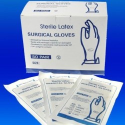 large Sterilization Powder Free Latex Surgical Glove