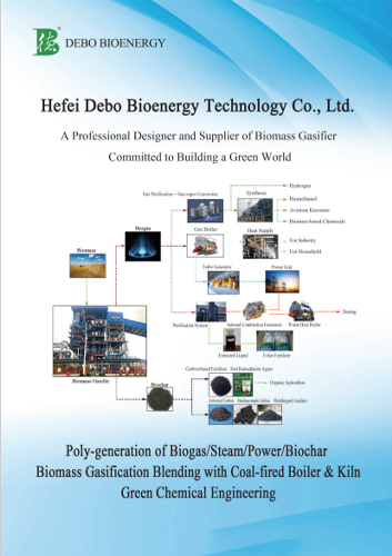 Hefei Debo Bioenergy