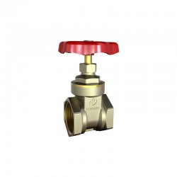 Bulk S5101 BRASS GATE VALVE