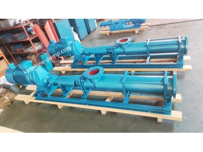 G Single screw pump