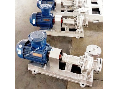 RY thermal /hot oil pump