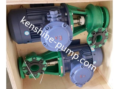 FP Polypropylene plastic pump