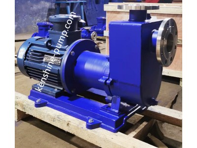 SS Self-priming magnetic pump