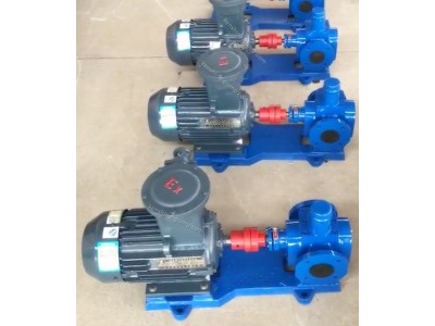 YCB Gear oil transfer pump