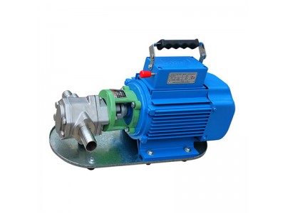 WCB Portable gear pump