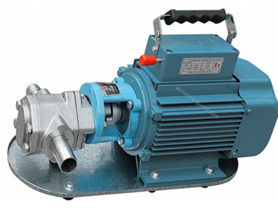 WCB Portable gear pump