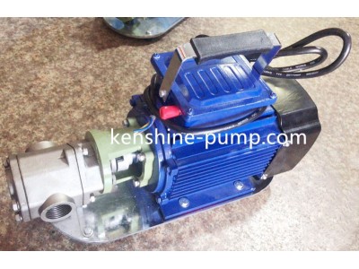 WCB Portable gear pump
