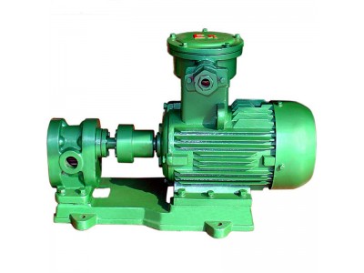 2CY Gear transfer pump