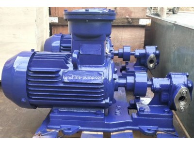 2CY Gear transfer pump
