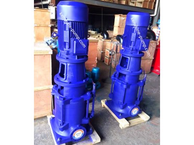 DL Vertical booster water pump