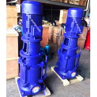 DL Vertical booster water pump