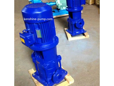 DL Vertical booster water pump