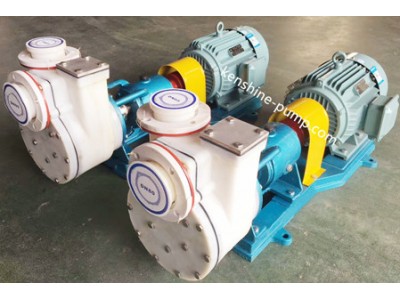 Fluoroplastic selfpriming pump