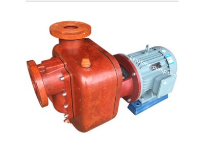 Fiberglass selfpriming pump