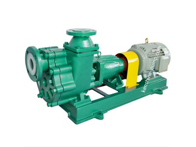 Plastic liner selfpriming pump
