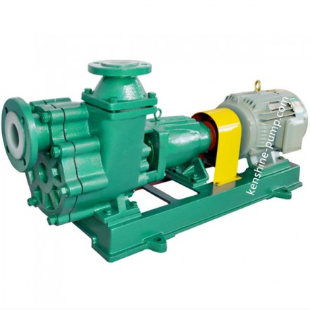 Plastic liner selfpriming pump