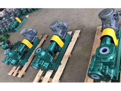 Plastic liner selfpriming pump