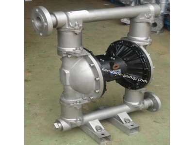 RW Pneumatic diaphragm pump