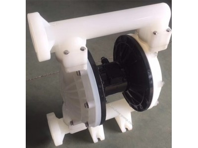 RW Pneumatic diaphragm pump