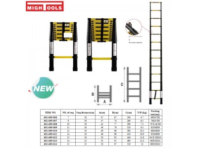 Bulk Ladders