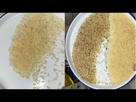 TAIHO Parboiled Rice Color Sorter Machine Customer Site