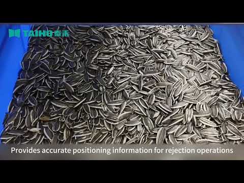 TAIHO AI Intelligent Sort Deep Learning Sunflower Seed Color Sorter