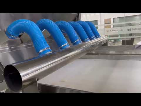 TAIHO Garlic Sorting Machine - Separating Garlic Granules and Stems #garlic #sorter #chinacolorsort