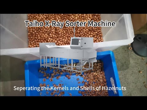 Taiho X-Ray Sorter Machine