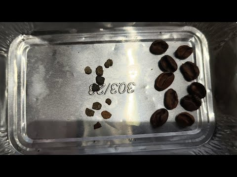 Taiho X Ray Foreign Substance Detector Coffee Bean Sorting Machine