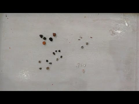 Coffee Beans Foreign Substance Sorting Test - Taiho X-Ray Foreign Substance Detector