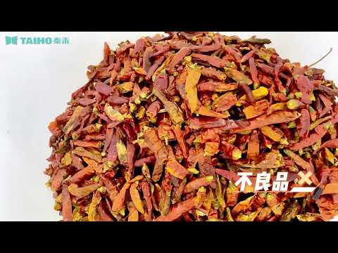 AI INTELLIGENT CHILI SORTING SOLUTION
