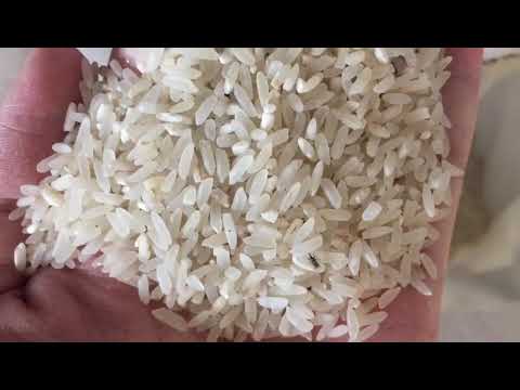 Japonica rice color sorter machine