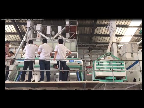 Comparison of the processing effect of japonica rice at the customer workshop
