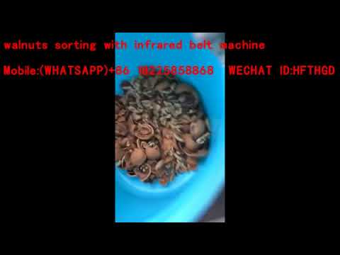 walnuts sorting with infrared belt machine