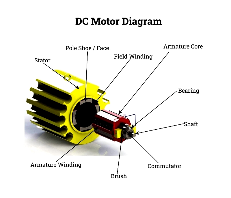 Types and Uses of Electric Motors