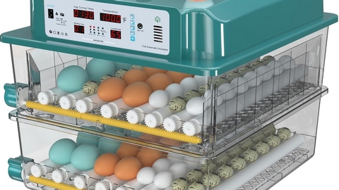Top 10 Egg Incubator Manufacturers and Companies