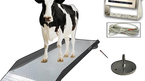 Top 10 Livestock Weight Scales Factory in China
