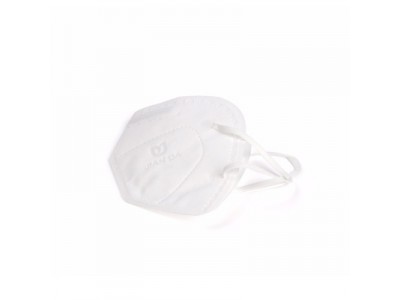 N95 Mask
