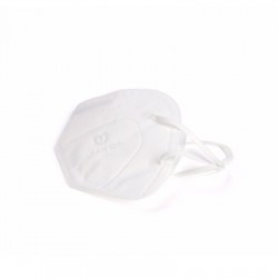 N95 Mask