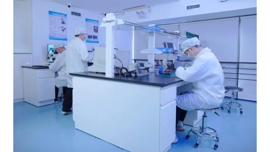 Lisleapex Electronic