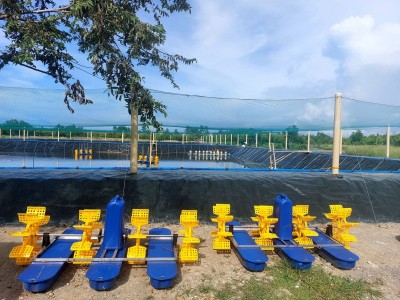 Waterproof HDPE lldpe Geomembrane pond liner