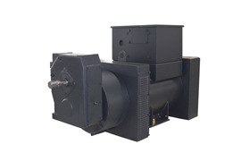 Special Custom Alternators of 50/5313 kVA
