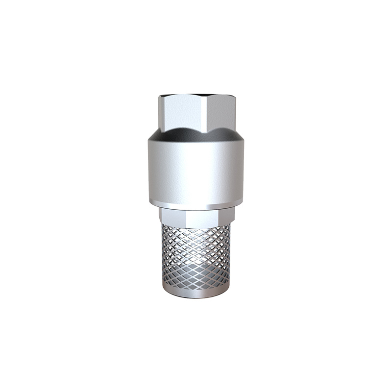 Bulk S4111 BRASS CHECK VALVE