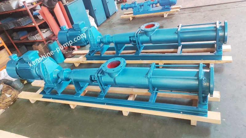 G Single screw pump
