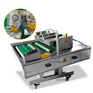 Wholesale Big Capacity Automatic Continous Vacuum Packaging Machine Food Packing Machine Meat Packing Machine