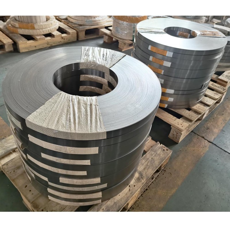 NiCr Conductive Strip - High-Performance Nickel Chromium Alloy Strip for Hydrogen Production